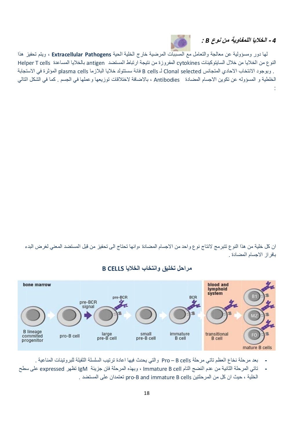  
‫ز‬‫ھذا‬
Help
‫تجابة‬
‫لتالي‬
‫ء‬
 
 
‫سطح‬
E،‫تحفيز‬ ‫ويتم‬
‫ة‬per T cells 
‫االست‬ ‫في‬ ‫مؤثرة‬
‫ا‬ ‫الشكل‬ ‫في‬ ‫كما‬...