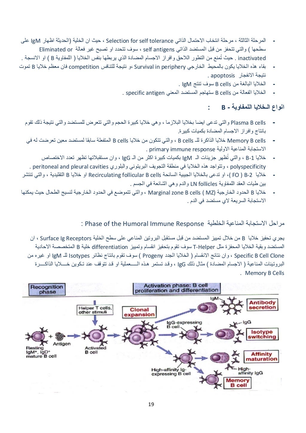 19 
 
-‫الذاتي‬ ‫االحتمال‬ ‫انتخاب‬ ‫مرحلة‬ ، ‫الثالثة‬ ‫المرحلة‬Selection for self tolerance‫الخلية‬ ‫ان‬ ‫حيث‬ ،)‫اظھار‬...