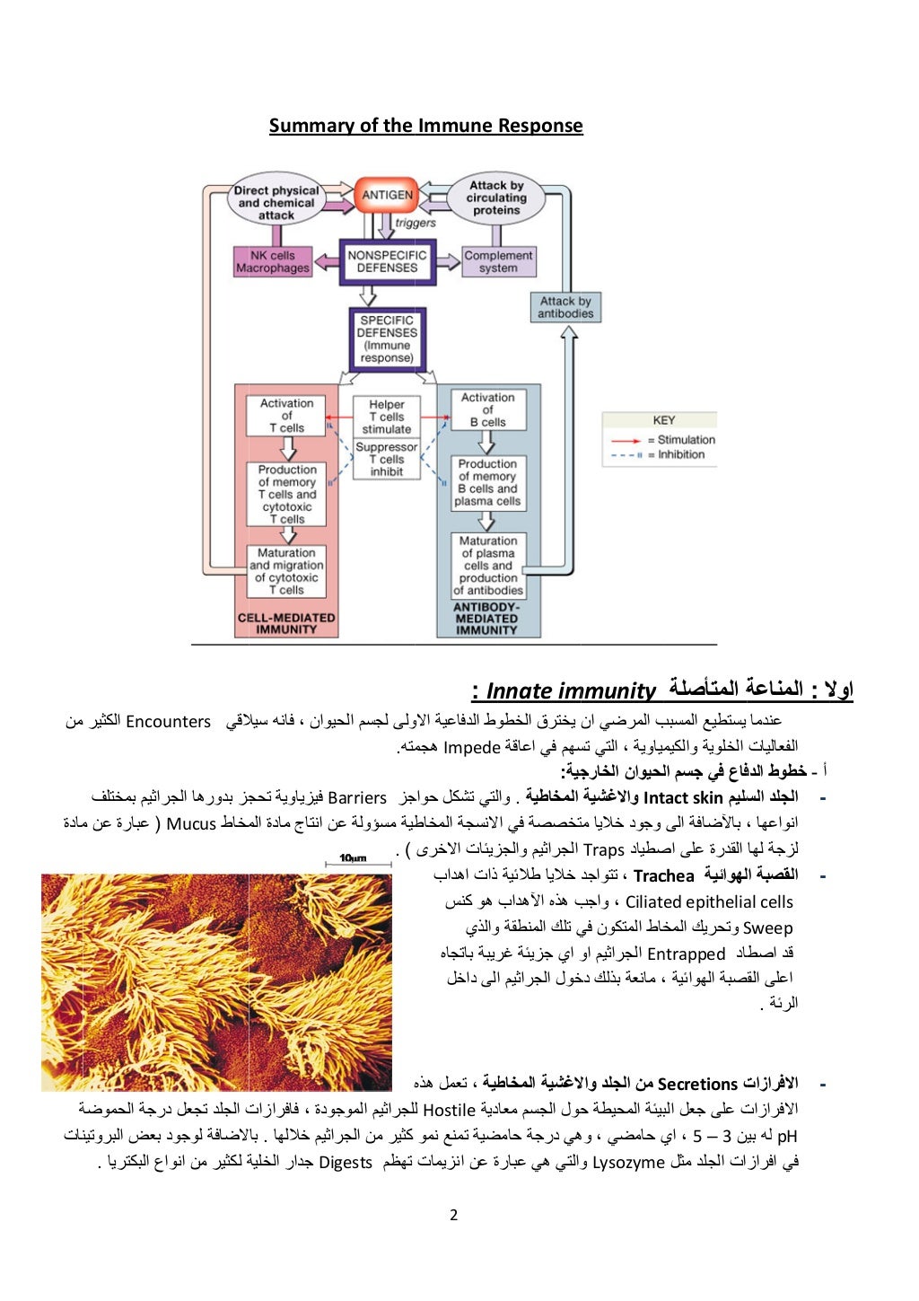  
‫من‬
‫مادة‬
‫ة‬
‫نات‬
Encou‫الكثير‬
‫راثيم‬‫بمختلف‬
)‫م‬ ‫عن‬ ‫عبارة‬
‫الحموضة‬ ‫رجة‬
‫البروتين‬ ‫بعض‬
‫البكتريا‬ ‫اع‬. ...