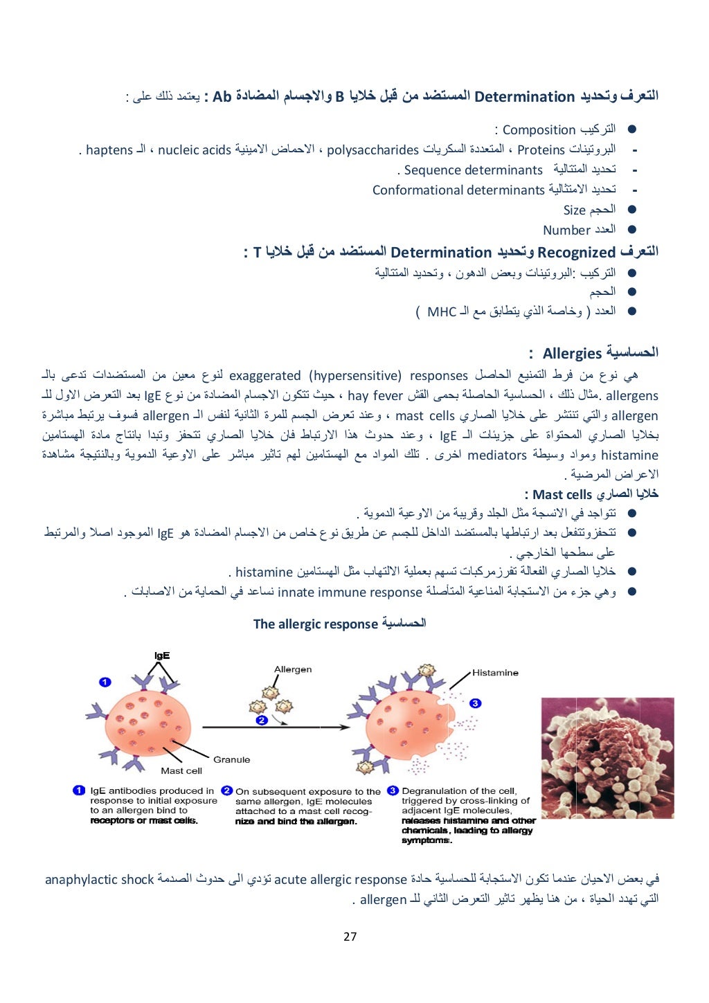  
‫بالـ‬ ‫ى‬
‫للـ‬ ‫ول‬
‫باشرة‬
‫تامين‬
‫شاھدة‬
‫رتبط‬
ana
:
haptens. 
‫تدعى‬ ‫ستضدات‬
‫االو‬ ‫التعرض‬ ‫د‬
‫مبا‬ ‫يرتبط‬ ‫...