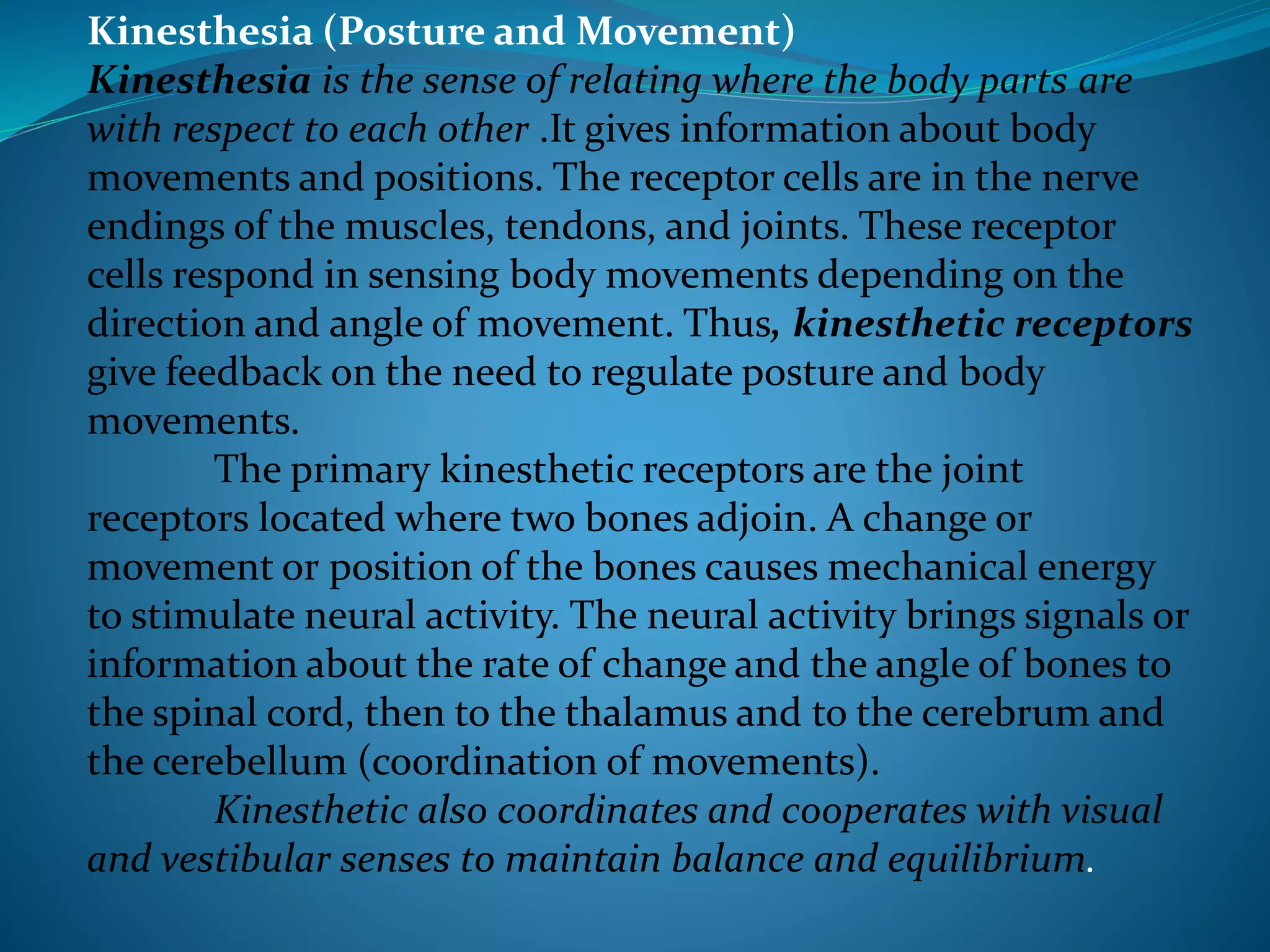 Kinesthesia (Posture and Movement)
Kinesthesia is the sense of relating where the body parts are
with respect to each other .It gives information about body
movements and positions. The receptor cells are in the nerve
endings of the muscles, tendons, and joints. These receptor
cells respond in sensing body movements depending on the
direction and angle of movement. Thus, kinesthetic receptors
give feedback on the need to regulate posture and body
movements.
The primary kinesthetic receptors are the joint
receptors located where two bones adjoin. A change or
movement or position of the bones causes mechanical energy
to stimulate neural activity. The neural activity brings signals or
information about the rate of change and the angle of bones to
the spinal cord, then to the thalamus and to the cerebrum and
the cerebellum (coordination of movements).
Kinesthetic also coordinates and cooperates with visual
and vestibular senses to maintain balance and equilibrium.
 