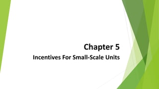 Chapter 5
Incentives For Small-Scale Units
 