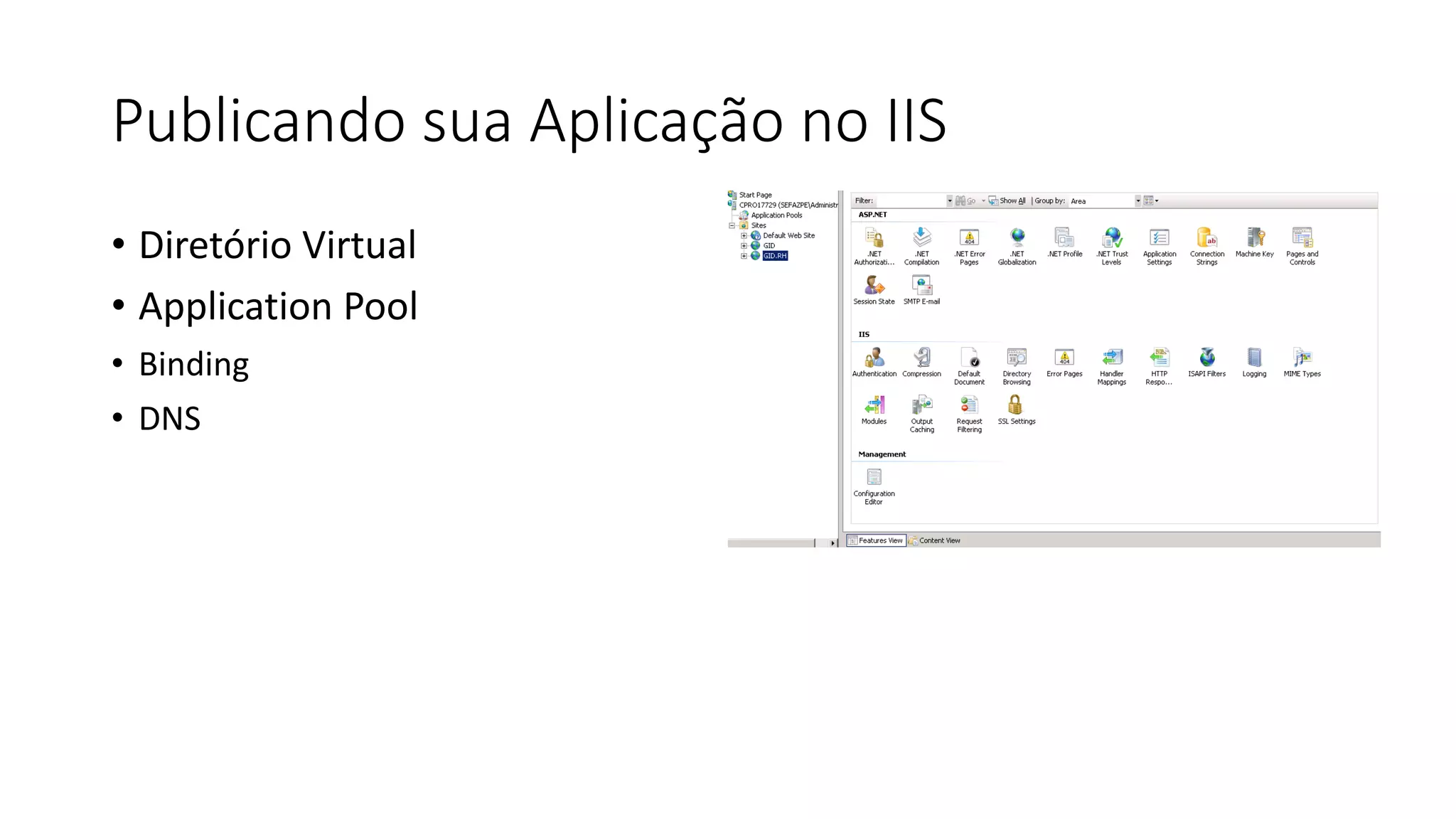 Publicando sua Aplicação no IIS 
•Diretório Virtual 
•Application Pool 
•Binding 
•DNS  