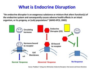 What is Endocrine Disruption
‘‘An endocrine disruptor is an exogenous substance or mixture that alters function(s) of
the endocrine system and consequently causes adverse health effects in an intact
organism, or its progeny, or (sub) populations’’ (WHO-IPCS, 2002)
Source: Thaddeus T. Schug et al. Minireview: Endocrine Disruptors: Past Lessons and Future Directions
 
