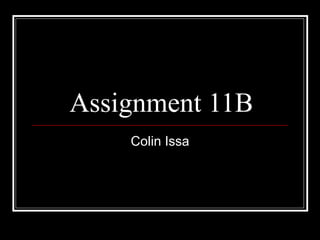 Assignment 11B Colin Issa 