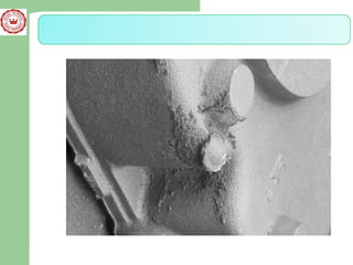 Casing defects | PPT