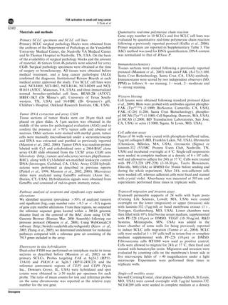 Materials and methods
Primary SCLC specimens and SCLC cell lines
Primary SCLC surgical pathology blocks were obtained from
the archives of the Department of Pathology at the Vanderbilt
University Medical Center, the Nashville VA Medical Center
and St-Thomas Hospital in Nashville, TN, USA. On the basis
of the availability of surgical pathology blocks and the amount
of material, 46 tumors from 46 patients were selected for array
CGH. Surgical pathology specimens were obtained at the time
of surgery or bronchoscopy. All tissues were obtained before
medical treatment, and a lung cancer pathologist (ALG)
conﬁrmed the diagnosis. Institutional Review Boards at each
medical center approved the study. Five SCLC cell lines were
used, NCI-H69, NCI-H82, NCI-H146, NCI-H209 and NCI-
H1618 (ATCC, Manassas, VA, USA), and three immortalized
normal bronchio-epithelial cell lines, BEAS-2B (ATCC),
HBEC-3KT (Dr Minna’s gift, University of Texas South-
western, TX, USA) and 16-HBE (Dr Gruenert’s gift,
Children’s Hospital, Oakland Research Institute, OK, USA).
Tumor DNA extraction and array CGH
Tissue sections of tumor blocks were cut 20 mm thick and
placed on glass slides. A 5 mm section was obtained in the
middle of the series for pathological evaluation (ALG) and to
conﬁrm the presence of 470% tumor cells and absence of
necrosis. Other sections were stained with methyl green, tumor
cells were manually microdissected under a stereomicroscope
and DNA was extracted and puriﬁed as previously reported
(Massion et al., 2002, 2008). Tumor DNA was random-primer
labeled with Cy5 and cohybridized onto a 2464-BAC clone
array CGH slide obtained from the UCSF array CGH core
laboratory (http://cancer.ucsf.edu/array/services.php#human-
BAC), along with Cy3-labeled sex-matched leukocyte control
DNA (Invitrogen, Carlsbad, CA, USA). Array CGH hybridi-
zations were performed as described in previous reports
(Pinkel et al., 1998; Massion et al., 2002, 2008). Microarray
slides were analyzed using GenePix software (Axon Inc.,
Darien, CT, USA). Hybridization signals were obtained from
GenePix and consisted of red-to-green intensity ratios.
Pathway analysis of recurrent and signiﬁcant copy number
alterations
We identiﬁed recurrent (prevalence 450% of analyzed tumors)
and signiﬁcant (log2 copy number ratio 40.3 or oÀ0.3) regions
of gene copy number alterations. From these regions, we outputted
the reference sequence genes located within a 300kb genomic
distance ﬁxed on the centroid of the BAC clone using UCSC
Genome Browser (Human Mar. 2006 Assembly) following our
previous protocol (Massion et al., 2008). Using WebGestalt2.0
software (http://bioinfo.vanderbilt.edu/webgestalt) (Kirov et al.,
2005; Zhang et al., 2005), we determined enrichment for molecular
pathways compared with a reference gene set consisting of the
7913 genes included in the array.
Fluorescent in situ hybridization
Dual-color FISH was performed on interphase nuclei in tissue
sections as described before (Massion et al., 2002) on 46
primary SCLCs. Probes targeting FAK at 8q24.3 (RP11-
13A18) and PIK3CA at 3q26.3 (RP11-245C23) and the
reference centromeric regions of CEP3 and CEP8 (Vysis
Inc., Downers Grove, IL, USA) were hybridized and spot
counts were obtained in X50 nuclei per specimen for each
probe. The ratio of mean counts for test and reference probes
on the same chromosome was reported as the relative copy
number for the test gene.
Quantitative real-time polymerase chain reaction
Gene copy number in 10 SCLCs and ﬁve SCLC cell lines was
evaluated by quantitative real-time polymerase chain reaction
following a previously reported protocol (Gallia et al., 2006).
Primer sequences are reported in Supplementary Table 3. The
DDCt method was used for DNA quantiﬁcation. DNA content
was normalized to that of RNase P.
Immunohistochemistry
Tissues sections were stained following a previously reported
protocol (Massion et al., 2003) with anti-FAK (A-17) (1:100;
Santa Cruz Biotechnology, Santa Cruz, CA, USA) antibody.
Immunostains were scored by two independent observers (SO,
PPM) as follows: 0—no staining, 1—weak, 2—moderate and
3—strong staining.
Western blotting
Cell lysates were obtained following standard protocol (Qian
et al., 2009). Blots were probed with antibodies against phospho-
FAK (Tyr397/576
) (1:1000; BioSource, Camarillo, CA, USA),
FAK (C-20) (1:200; Santa Cruz Biotechnology), phospho-
p130CAS (Tyr165
) (1:1000; Cell Signaling, Danvers, MA, USA),
p130CAS (1:2000; BD Transduction Laboratories, San Jose,
CA, USA) or actin (1:5000; Sigma, St Louis, MO, USA).
Cell adhesion assay
Plates of 96 wells were coated with phosphate-buffered saline,
5 mg/ml collagen I (BD, Franklin Lakes, NJ, USA), ﬁbronectin
(Chemicon, Billerica, MA, USA), vitronectin (Sigma) or
laminin-332 (VUMC Protein Users Club, Nashville, TN,
USA) and incubated overnight at 4 1C. Single-cell suspensions
were seeded in complete medium at a density of 8 Â 104
cells/
well and allowed to adhere for 24 h at 37 1C. Cells were treated
with PF-573,228 (PF-228) (3-10-30 mM, Tocris Biosciences,
Ellisville, MO,USA) or DMSO for 30 min before seeding and
during the whole experiment. After 24 h, non-adherent cells
were washed off, whereas adherent cells were ﬁxed and stained
with crystal violet. Absorbance was measured at 595 nm and
experiments performed three times in triplicate wells.
Transwell migration and invasion assay
Transwell permeable supports of 24 wells with 8-mm pores
(Corning Life Sciences, Lowell, MA, USA) were coated
overnight on the lower (migration) or upper (invasion) side
with laminin-332 (5 mg/ml) or basal membrane extract (1 Â ,
Trevigen, Gaithersburg, MD, USA). Lower chambers were
then ﬁlled with 10% fetal bovine serum medium, supplemented
with PF-228 (10 mM) or DMSO. VEGF (10–50 ng/ml, R&D
Systems, Minneapolis, MN, USA) was added in the
lower chamber of some wells for being previously reported
to induce SCLC cells migration (Tanno et al., 2004). SCLC
cells were seeded at 1 Â 105
cells/well in serum-free or complete
medium supplemented with PF-228 (10 mM) or DMSO.
Fibrosarcoma cells HT1080 were used as positive control.
Cells were allowed to migrate for 24 h at 37 1C, then ﬁxed and
stained with hematoxylin–eosin. Migration and invasion were
evaluated by counting cells on the membrane’s lower side in
ﬁve microscopic ﬁelds of Â 40 magniﬁcation under a light
microscope. Experiments were performed three times in
triplicate wells.
Single-cell motility assay
Six-well Corning Costar, clear plates (Sigma-Aldrich, St Louis,
MO, USA) were coated overnight with 5 mg/ml laminin-332.
NCI-H209 cells were seeded in complete medium at a density
FAK activation in small-cell lung cancer
S Ocak et al
6340
Oncogene
 