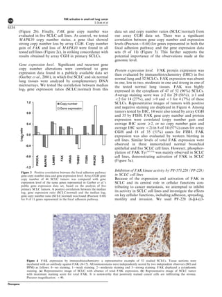 (Figure 2b). Finally, FAK gene copy number was
evaluated in ﬁve SCLC cell lines. As control, we tested
MAPK10 copy number status, a gene that showed
strong copy number loss by array CGH. Copy number
gain of FAK and loss of MAPK10 were found in all
tested cell lines (Figure 2c), in striking concordance with
results obtained by array CGH in primary SCLCs.
Gene expression level. Signiﬁcant and recurrent gene
copy number alterations were correlated to gene
expression data found in a publicly available data set
(Garber et al., 2001), in which ﬁve SCLC and six normal
lung tissues were analyzed by complementary DNA
microarrays. We tested the correlation between median
log2 gene expression ratios (SCLC/normal) from this
data set and copy number ratios (SCLC/normal) from
our array CGH data set. There was a signiﬁcant
correlation between gene copy number and expression
levels (Pearson ¼ 0.68) for genes represented in both the
focal adhesion pathway and the gene expression data
sets (9 of 11) (Figure 3). This further supports the
potential importance of the observations made at the
genomic level.
Protein expression level. FAK protein expression was
then evaluated by immunohistochemistry (IHC) in ﬁve
normal lung and 52 SCLCs. FAK expression was absent
in one, low in two, moderate in one and strong in one of
the tested normal lung tissues. FAK was highly
expressed in the cytoplasm of 47 of 52 (90%) SCLCs.
Average staining score was X2 for 29 (56%), X1 and
o2 for 14 (27%), and 40 and o1 for 4 (7%) of these
SCLCs. Representative images of tumors with positive
and negative staining are displayed in Figure 4. Among
tumors tested by IHC, 14 were also tested by array CGH
and 35 by FISH. FAK gene copy number and protein
expression were correlated (copy number gain and
average IHC score X2, or no copy number gain and
average IHC score o2) in 8 of 14 (57%) cases for array
CGH and 18 of 35 (51%) cases for FISH. FAK
expression was also evaluated by western blotting in
cell lines. Similar levels of total FAK expression were
observed in three immortalized normal bronchial
epithelial and ﬁve SCLC cell lines. However, phosphor-
ylation of FAK Tyr397/576
was mainly observed in SCLC
cell lines, demonstrating activation of FAK in SCLC
(Figure 5a).
Inhibition of FAK kinase activity by PF-573,228 (PF-228)
in SCLC cell lines
Because of the expression and activation of FAK in
SCLC and its central role in cellular functions con-
tributing to cancer metastasis, we attempted to inhibit
its activity in SCLC cell lines and investigate the effects
on key cellular functions, including adhesion, spreading,
motility and invasion. We used PF-228 (6-[(4-((3-
Figure 3 Positive correlation between the focal adhesion pathway
gene copy number data and gene expression level. Array CGH gene
copy number of 46 SCLC tumors was compared with gene
expression level of the same genes represented in Garber et al.’s
public gene expression data set, based on the analysis of ﬁve
primary SCLC tumors. A positive correlation between the median
log2 gene expression ratio (SCLC/normal) and the median log2
gene copy number ratio (SCLC/normal) was found (Pearson: 0.68)
for 9 of 11 genes represented in the focal adhesion pathway.
Figure 4 FAK expression by immunohistochemistry: a representative example of 52 studied SCLCs. Tissue sections were
incubated with an antibody against FAK (A-17). All immunostains were independently scored by two independent observers (SO and
PPM) as follows: 0—no staining, 1—weak staining, 2—moderate staining and 3—strong staining. FAK displayed a cytoplasmic
staining. (a) Representative image of SCLC with absence of total FAK expression. (b) Representative image of SCLC tumor
with maximum staining score for total FAK. It is noteworthy that positively stained cancer cells are inﬁltrating the stroma.
Pictures magniﬁcation: Â 40.
FAK activation in small-cell lung cancer
S Ocak et al
6334
Oncogene
 