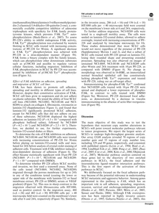(methanesulfonyl)benzyl)amino)-5-triﬂuoromethylpyrimi-
din-2-yl)amino]-3,4-dihydro-1H-quinolin-2-one), a com-
mercially available competitive inhibitor of adenosine
triphosphate with speciﬁcity for FAK family protein-
tyrosine kinases, which prevents FAK Tyr397
auto-
phosphorylation (Slack-Davis et al., 2007). To assess
PF-228’s ability to inhibit endogenous FAK activity,
FAK Tyr397
phosphorylation was evaluated by western
blotting in SCLC cells treated with increasing concen-
trations of PF-228 for 90 min. A signiﬁcant decrease
in FAK Tyr397
phosphorylation was achieved with
PF-228 in a dose-dependent manner (Figure 5b).
FAK forms a binary complex with Src family kinases,
which can phosphorylate other downstream substrates
such as p130CAS and paxillin to regulate various
cellular functions, including migration. Inhibition of
FAK phosphorylation in SCLC by PF-228 was accom-
panied by inhibition of p130CAS Tyr165
phosphoryla-
tion (Figure 5c).
Effect of FAK inhibition on adhesion, spreading
and migration of SCLC cell lines
FAK has been shown to promote cell adhesion,
spreading and motility in different types of cell lines.
However, despite their constitutive activation of FAK,
SCLC cell lines grow in suspension and do not adhere
on plastic substrates. We tested the ability of four SCLC
cell lines (NCI-H69, NCI-H82, NCI-H146 and NCI-
H209) to attach on collagen I, ﬁbronectin, vitronectin or
laminin-332 (Supplementary Figure 1), and found that
laminin-332 signiﬁcantly promoted SCLC adhesion,
except for NCI-H82 cells that did not adhere on any
of these substrates. NCI-H146 displayed the highest
adhesion on laminin-332 (P ¼ 6.3 Â 10À5
compared with
phosphate buffered saline), followed by NCI-H69
(P ¼ 4.2 Â 10À5
) and NCI-H209 (P ¼ 2.5 Â 10À5
). There-
fore, we decided to use, for further experiments,
laminin-332-coated dishes or ﬁlters.
To determine the role of FAK inhibition on adhesion,
NCI-H69, NCI-H146 and NCI-H209 cells were treated
with increasing concentrations of PF-228 for 30 min
before plating on laminin-332-coated wells and incu-
bated for 24 h before analysis of crystal-violet staining of
adherent cells. Treatment with FAK inhibitor induced a
dose-dependent decrease of adhesion (Figure 6). The
effect became statistically signiﬁcant with 10 mM PF-228
(NCI-H69: P ¼ 3 Â 10À4
, NCI-H146 and NCI-H209:
P ¼ 1 Â 10À4
compared with DMSO).
To determine whether PF-228 affects SCLC motility
and invasion, we ﬁrst used a transwell assay. None of
the cells tested (NCI-H69, NCI-H82, NCI-H209)
migrated through the porous membrane for up to 24 h
in any of the conditions tested (coating the lower or
upper side of the membrane with laminin-332 or basal
membrane extract, PF-228 or DMSO, serum or VEGF
gradient) (Figure 7a). This was in sharp contrast to the
migration observed with ﬁbrosarcoma cells HT1080,
used as positive control. In the migration assay, 488
(s.d. ¼ 24) and 402 (s.d. ¼ 30) HT1080 cells per Â 40
microscopic ﬁeld were counted on the membrane’s lower
side after 6 and 24 h, respectively (Figure 7b). Similarly,
in the invasion assay, 206 (s.d. ¼ 16) and 156 (s.d. ¼ 18)
HT1080 cells per Â 40 microscopic ﬁeld were counted
on the membrane’s lower side at 6 and 24 h, respectively.
To further address migration, NCI-H209 cells were
tested in a single-cell motility assay. The cells were
seeded on laminin-332-coated dishes, allowed to adhere
overnight, treated with increasing concentrations of PF-
228 and analyzed by time-lapse microscopy for 8 h.
These studies demonstrated that most SCLC cells
would not move regardless of the presence of PF-228
(Supplementary Movies 1 and 2), and that a subset of
SCLC cells treated with PF-228 spread on laminin-332,
losing their rounded shape and presenting extended
processes. Spreading was also observed on images of
unstained NCI-H69, NCI-H146 and NCI-H209 cells
after 90 min and 24 h treatment with 10 mM PF-228, as
compared with DMSO (Figure 8). No change in
morphology was observed in 16-HBE, an immortalized
normal bronchial epithelial cell line constitutively
lacking phospho-FAK Tyr397
expression and treated
with PF-228, ruling out an off-target effect.
Immunostaining for phospho-FAK Tyr397
conﬁrmed
that NCI-H209 cells treated with 10 mM PF-228 were
spread and displayed a lower expression of phospho-
FAK, in contrast to cells treated with DMSO
(Figure 9a). Moreover, PF-228 decreased focal adhe-
sions, as demonstrated by a decrease in vinculin
immunostaining in the absence of actin ﬁber reorganiza-
tion (Figure 9b).
Discussion
The main objective of this study was to test the
hypothesis that recurrent copy number alterations in
SCLCs will point toward molecular pathways relevant
to tumor progression. We report the largest series of
SCLCs to undergo high-throughput genomic analysis.
Our array CGH analysis revealed 70 regions of copy
number gain and 55 regions of copy number loss,
including 329 and 99 genes, respectively, and consistent
with published reports (Levin et al., 1994; Ried et al.,
1994; Lindblad-Toh et al., 2000; Peng et al., 2005; Zhao
et al., 2005; Coe et al., 2006; Kim et al., 2006; Olejniczak
et al., 2007). Molecular pathway analysis centered on
these genes led to the discovery of two enriched
pathways in SCLCs, the focal adhesion and the
neuroendocrine ligand–receptor interaction pathways.
This is the ﬁrst report of the activation of these
pathways in SCLC.
We deliberately focused on the focal adhesion path-
way because of the potential relevance in understanding
SCLC metastatic and aggressive behavior. Among genes
represented in this pathway is FAK, which has an
important role in cell adhesion, spreading, migration,
invasion, survival and anchorage-independent growth
(Hanks et al., 2003; Parsons, 2003; Mitra et al., 2005;
Siesser and Hanks, 2006). Although FAK overexpres-
sion has been reported in highly invasive cancers
(Owens et al., 1995; Gabarra-Niecko et al., 2003), this
FAK activation in small-cell lung cancer
S Ocak et al
6335
Oncogene
 