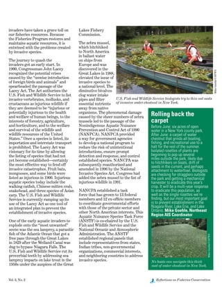 Vol. 3, No. 2	 Reflections on Fisheries Conservation
invaders have taken a grave toll on
our fisheries resources. Because
the Fisheries Program restores and
maintains aquatic resources, it is
entwined with the problems created
by invasive species.
The journey to quash the
invaders got an early start. In
1900, Congressman John Lacey
recognized the potential crises
caused by the “unwise introduction
of foreign birds and animals” and
spearheaded the passage of the
Lacey Act. The Act authorizes the
U.S. Fish and Wildlife Service to list
invasive vertebrates, mollusks, and
crustaceans as injurious wildlife if
they are deemed to be “injurious or
potentially injurious to the health
and welfare of human beings, to the
interests of forestry, agriculture,
and horticulture, and to the welfare
and survival of the wildlife and
wildlife resources of the United
States.” Once a species is listed, its
importation and interstate transport
is prohibited. The Lacey Act was
visionary for its time by allowing
the listing of species that had not
yet become established—certainly
the most effective way to fend off
invasive catastrophes. Fruit bats,
mongooses, and some birds were
listed as injurious in 1900. Injurious
aquatic species today include the
walking catfish, Chinese mitten crab,
snakehead, and three species of Asian
carp. The U.S. Fish and Wildlife
Service is currently ramping up its
use of the Lacey Act as one tool of
an integrated plan to prevent the
establishment of invasive species.  
One of the early aquatic invaders to
explode onto the “most unwanted”
scene was the sea lamprey, a parasitic
fish of the Atlantic Ocean that got a
free pass through the Great Lakes
in 1829 after the Welland Canal was
dug to bypass Niagara Falls. The
U.S. Fish and Wildlife Service cut its
proverbial teeth by addressing sea
lamprey impacts on lake trout in the
1950s under the auspices of the Great
Lakes Fishery
Commission.
The zebra mussel,
which hitchhiked
to North America
in ballast water
on ships from
Europe and was
discovered in the
Great Lakes in 1988,
elevated the issue of
invasive species to
a national level. The
diminutive bivalves
clog water intake
pipes and filter
essential nutrients
away from native
organisms. The phenomenal damage
caused by the sheer numbers of zebra
mussels led to the passage of the
Nonindigenous Aquatic Nuisance
Prevention and Control Act of 1990
(NANPCA). NANPCA provided
a way for government agencies
to develop a national program to
reduce the risk of unintentional
introductions, ensure prompt
detection and response, and control
established species. NANCPA was
subsequently reauthorized and
amended in 1996 by the National
Invasive Species Act. Congress had
added the zebra mussel to the list of
injurious wildlife in 1991.
NANCPA established a task
force that has grown to 13 federal
members and 12 ex-officio members
to coordinate governmental efforts
with those of the private sector and
other North American interests. This
Aquatic Nuisance Species Task Force
(ANSTF) is co-chaired by the U.S.
Fish and Wildlife Service and the
National Oceanic and Atmospheric
Administration. The ANSTF
established regional panels that
include representatives from states,
Indian tribes, non-governmental
organizations, commercial interests,
and neighboring countries to address
invasive species.
MikeGoehle/USFWS
U.S. Fish and Wildlife Service biologists try to thin out mats
of invasive water chestnut in New York.
Rolling back the
carpet
Before June: six acres of open
water in a New York county park.
After June: a carpet of water
chestnut that grinds all boating,
fishing, and recreational use to a
halt for the rest of the summer.
Isolated rosettes of plants are
beginning to pop up several
miles outside the park, likely due
to hitchhikers on boats, drift of
seeds in the current, and perhaps
attachment to waterfowl. Biologists
are checking for stragglers outside
the park and getting a mechanical
harvester to eradicate this year’s
crop. It will be a multi-year response
to eradicate this population, as
well as the single rosettes we’re
finding, but our most important goal
is to prevent establishment in the
Niagara River, Lake Erie, and Lake
Ontario. Mike Goehle, Northeast
Region AIS Coordinator
MikeGoehle/USFWS
No boats can navigate this thick
mat of water chestnut in New York.
 