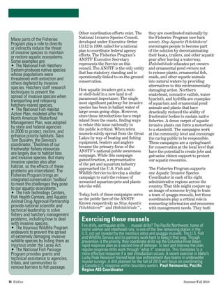 14  Eddies   	 Summer/Fall 2010
Many parts of the Fisheries
Program play a role to directly
or indirectly reduce the threat
of invasive species to maintain
or restore aquatic ecosystems.
Some examples are:
•	 The National Fish Hatchery
System produces native species
whose populations were
threatened with extinction and
others depleted by invasive
species. Hatchery staff research
techniques to prevent the
spread of invasive species when
transporting and releasing
hatchery-reared species.
•	 The National Fish Habitat
Action Plan, modeled after the
North American Waterfowl
Management Plan, was adopted
by state and federal agencies
in 2006 to protect, restore, and
enhance priority habitats. Says
Tom Busiahn, the Service’s
coordinator, “Declines of our
freshwater fishery resources
are largely due to habitat loss
and invasive species. But many
invasive species also alter
habitat, so the effects of these
problems are interrelated. The
Fisheries Program brings an
integrated conservation ‘toolbox’
to meet the challenges they pose
to our aquatic ecosystems.”
•	 The Fish Technology Centers,
Fish Health Centers, and Aquatic
Animal Drug Approval Partnership
provide national scientific and
technical leadership to solve
fishery and hatchery management
problems, including how to deal
with invasive species.
•	 The Injurious Wildlife Program
endeavors to prevent the spread
of extremely damaging invasive
wildlife species by listing them as
injurious under the Lacey Act.
•	 The National Fish Passage
Program provides grants and
technical assistance to agencies,
tribes, and communities to
remove barriers to fish passage.
Other coordination efforts exist. The
National Invasive Species Council,
developed under Executive Order
13112 in 1999, called for a national
plan to coordinate federal agency
efforts. The Fisheries Program’s
ANSTF Executive Secretary
represents the Service on this
council. The ANSTF is the only entity
that has statutory standing and is
operationally linked to on-the-ground
conservation.
How aquatic invaders get a root-
or shell-hold in a new land is of
paramount importance. The single
most significant pathway for invasive
species has been in ballast water of
large ocean-going ships. However,
since these introductions have crept
inland from the coasts, finding ways
to relate this issue nationally to
the public is critical. When zebra
mussels subtly spread from the Great
Lakes by way of boating and fishing
equipment, boaters and anglers
became the primary focus of the
ANSTF’s national public awareness
campaign. While this campaign
gained traction, a representative
of the pet and aquarium industry
approached the U.S. Fish and
Wildlife Service to develop a similar
campaign to curb the release of
unwanted aquarium pets and plants
into the wild.  
Today, both of these campaigns serve
as the public face of the ANSTF.  
Known respectively as Stop Aquatic
Hitchhikers!®™
and Habitattitude™,
Exercising those mussels
Fire drills, earthquake drills . . . mussel drills? The Pacific Northwest, home of
iconic salmon and steelhead runs, is one of the few remaining places in the
U.S. not yet invaded by the insidious zebra and quagga mussels. The U.S. Fish
and Wildlife Service and its partners work hard to keep it that way. Though
prevention is the priority, they coordinate drills via the Columbia River Basin
rapid response plan as a second line of defense. To test and improve the plan,
regular response drills work through “what if” scenarios. This translates to a
more effective response if a real introduction occurs. A recent exercise in Idaho’s
Lucky Peak Reservoir trained local law enforcement dive teams in underwater
mussel surveys. A drill planned for the fall of 2010 will focus on coordinating
a Canada-U.S. response within boundary waters. Paul Heimowitz, Pacific
Region AIS Coordinator
they are coordinated nationally by
the Fisheries Program (see back
cover). Stop Aquatic Hitchhikers!
encourages people to become part
of the solution by decontaminating
their boats, trailers, and other aquatic
gear after leaving a waterway.
Habitattitude educates pet owners
and ornamental pond owners not
to release plants, ornamental fish,
snails, and other aquatic animals
into natural waters by providing
alternatives to this environmentally
damaging action. Northern
snakehead, nonnative catfish, water
hyacinth, and hydrilla are examples
of aquarium and ornamental pond
animals and plants that have
drastically reduced the ability of
freshwater bodies to sustain native
fisheries. A dense carpet of aquatic
invasive plants can force a motorboat
to a standstill. The campaigns work
at the community level and encourage
the caring public to be responsible.
These campaigns are a springboard
for conservation at the local level that
have the potential to create jobs and
galvanize citizen support to protect
our aquatic resources.
The Fisheries Program supports
one Aquatic Invasive Species
Coordinator in each of its eight
administrative regions across the
country. That title might conjure up
an image of someone trying to train
a team of quagga mussels, but these
coordinators play a critical role in
connecting information and resources
with management needs. They both
 