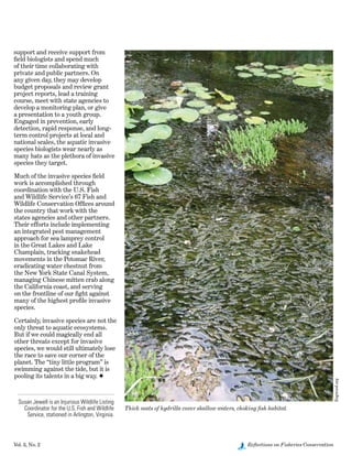 Vol. 3, No. 2	 Reflections on Fisheries Conservation
Bugwood.org
support and receive support from
field biologists and spend much
of their time collaborating with
private and public partners. On
any given day, they may develop
budget proposals and review grant
project reports, lead a training
course, meet with state agencies to
develop a monitoring plan, or give
a presentation to a youth group.
Engaged in prevention, early
detection, rapid response, and long-
term control projects at local and
national scales, the aquatic invasive
species biologists wear nearly as
many hats as the plethora of invasive
species they target.
Much of the invasive species field
work is accomplished through
coordination with the U.S. Fish
and Wildlife Service’s 67 Fish and
Wildlife Conservation Offices around
the country that work with the
states agencies and other partners.
Their efforts include implementing
an integrated pest management
approach for sea lamprey control
in the Great Lakes and Lake
Champlain, tracking snakehead
movements in the Potomac River,
eradicating water chestnut from
the New York State Canal System,
managing Chinese mitten crab along
the California coast, and serving
on the frontline of our fight against
many of the highest profile invasive
species.
Certainly, invasive species are not the
only threat to aquatic ecosystems.
But if we could magically end all
other threats except for invasive
species, we would still ultimately lose
the race to save our corner of the
planet. The “tiny little program” is
swimming against the tide, but it is
pooling its talents in a big way. F
Susan Jewell is an Injurious Wildlife Listing
Coordinator for the U.S. Fish and Wildlife
Service, stationed in Arlington, Virginia.
credit
Thick mats of hydrilla cover shallow waters, choking fish habitat.
 
