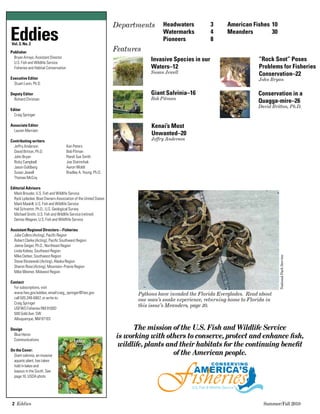 2  Eddies   	 Summer/Fall 2010
Eddies
The mission of the U.S. Fish and Wildlife Service
is working with others to conserve, protect and enhance fish,
wildlife, plants and their habitats for the continuing benefit
of the American people.
CONSERVINGCONSERVING
U.S. Fish & Wildlife ServiceU.S. Fish & Wildlife Service
Departments
Features
Headwaters	 3
Watermarks	 4
Pioneers	 8
American Fishes	10
Meanders	 30
Vol. 3, No. 2
Publisher
	 Bryan Arroyo, Assistant Director
	 U.S. Fish and Wildlife Service
	 Fisheries and Habitat Conservation
Executive Editor
	 Stuart Leon, Ph.D.
Deputy Editor
	 Richard Christian
Editor
	 Craig Springer
Associate Editor
	 Lauren Merriam
Contributing writers
	 Jeffry Anderson
	 David Britton, Ph.D.
	 John Bryan
	 Ricky Campbell
	 Jason Goldberg
	 Susan Jewell
	 Thomas McCoy
Editorial Advisors
	 Mark Brouder, U.S. Fish and Wildlife Service
	 Ryck Lydecker, Boat Owners Association of the United States
	 Mark Maskill, U.S. Fish and Wildlife Service
	 Hal Schramm, Ph.D., U.S. Geological Survey
	 Michael Smith, U.S. Fish and Wildlife Service (retired)
	 Denise Wagner, U.S. Fish and Wildflife Service
Assistant Regional Directors – Fisheries
	 Julie Collins (Acting), Pacific Region
	 Robert Clarke (Acting), Pacific Southwest Region
	 Jaime Geiger, Ph.D., Northeast Region
	 Linda Kelsey, Southeast Region
	 Mike Oetker, Southwest Region
	 Steve Klosiewski (Acting), Alaska Region
	 Sharon Rose (Acting), Mountain–Prairie Region
	 Mike Weimer, Midwest Region
Contact
	 For subscriptions, visit
	 www.fws.gov/eddies, email craig_springer@fws.gov
	 call 505 248-6867, or write to:
	 Craig Springer
	 USFWS Fisheries RM 9100D
	 500 Gold Ave. SW
	 Albuquerque, NM 87103
Design
Blue Heron 	
Communications
On the Cover:
Giant salvinia, an invasive
aquatic plant, has taken
hold in lakes and
bayous in the South. See
page 16. USDA photo
Eddies
Reflections on Fisheries Conservation
U.S. Fish and Wildlife Service Summer/Fall 2010
	 Ken Peters
	 Bob Pitman
	 Randi Sue Smith
	 Joe Starinchak
	 Aaron Woldt
	 Bradley A. Young. Ph.D.
Giant Salvinia–16
Bob Pitman
Kenai’s Most
Unwanted–20
Jeffry Anderson
“Rock Snot” Poses
Problems for Fisheries
Conservation–22
John Bryan
Invasive Species in our
Waters–12
Susan Jewell
Conservation in a
Quagga-mire–26
David Britton, Ph.D.
Pythons have invaded the Florida Everglades. Read about
one man’s snake experience, returning home to Florida in
this issue’s Meanders, page 30.
NationalParkService
 