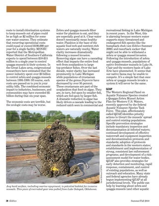 28  Eddies   	 Summer/Fall 2010
costs to install chlorination systems
to keep mussels out of pipes could
be as high as $2 million for some
raw water sources. They estimate
that recurring operational costs
could equal or exceed $100,000 per
year for a single facility. MSNBC
reported that the Metropolitan
Water District of Southern California
expects to spend between $10-$15
million in a single year to control
quagga mussels in their systems. In
the Great Lakes area, congressional
researchers have estimated that the
power industry spent over $3 billion
to control zebra and quagga mussels
between 1993-1999. Of course, such
costs are passed on to you in your
utility bills. The combined economic
impact to industries, businesses, and
communities may have exceeded $5
billion during that six-year span.
The economic costs are terrible, but
the ecologic costs may be worse.
Zebra and quagga mussels filter
water for plankton to eat, and they
are especially good at it. Clear water
doesn’t necessarily mean healthy
water. Plankton is the base of the
aquatic food web and nutrient-rich
waters are naturally murky. Water
clarity increases dramatically
following a mussel invasion.
Removing algae can have a cascading
effect that impacts the entire food
web from zooplankton to large
top-predator fishes. Over the last
decade, water clarity has increased
prominently in Lake Michigan
while populations of crustacean
species of the genus Diporeia have
decreased by over 95 percent.
These crustaceans are part of the
zooplankton that feed on algae. They
are, in turn, fed upon by smaller fish,
which are fed upon by larger fish.
A dramatic reduction in algae has
likely driven a cascade leading to the
reduced catch seen in commercial and
recreational fishing in Lake Michigan
in recent years.  In the West, this
is alarming because western water
supports many threatened and
endangered fish species like the
humpback chub (see Eddies Summer
2008) and razorback sucker that
might not be able to withstand a
zebra or quagga mussel invasion.
Following the introduction of zebra
and quagga mussels, populations of
native freshwater mussels in Lake St.
Clair and the western basin of Lake
Erie have plummeted. It seems that
our native fauna may be unable to
compete. It’s a simple fact that once
zebra or quagga mussels invade a
system it will never be the same.
QZAP
The Western Regional Panel on
Aquatic Nuisance Species created
a Quagga-Zebra Mussel Action
Plan for Western U.S. Waters,
recently approved by the federal
Aquatic Nuisance Species Task
Force.  This plan, affectionately
called QZAP, identifies priority
actions to thwart the mussels’ spread
and control existing populations.
Specific prevention strategies
include mandatory inspection and
decontamination at infested waters;
continued development of effective
watercraft and equipment inspection
and decontamination protocols and
standards; adoption of protocols
and standards in the western states;
establishment and implementation of
strong, consistent law enforcement
programs; and development of a risk-
assessment model for water bodies.
QZAP also provides strategies for
early detection and monitoring, rapid
response, containment, and control
of existing populations, as well as
outreach and education. Many state
and federal agencies have already
begun implementing QZAP at all
jurisdictional levels. The public can
help by learning about zebra and
quagga mussels (and other aquatic
DavidBritton/USFWS
Any hard surface, including marine equpiment, is potential habitat for invasive
mussels. This piece of encrusted gear was pulled from Lake Oolagah, Oklahoma.
 