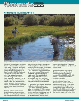 4  Eddies   	 Summer/Fall 2010
Running Head Text
Watermarks
from its American River Hatchery,
with a million additional trout stocked
in later years.
Removing invasive pike worked.
Recent creel surveys show that
average catch per angler-hour
increased from 0.12 fish to 0.31 fish,
turning Lake Davis back into an
excellent trout fishery.
Dingell-Johnson Sport Fish
Restoration Act funds come from
federal manufacturing excise taxes
on fishing tackle, trolling motors,
and motorboat fuels, distributed to
state fish and wildlife agencies. These
funds support fishery management
that benefits anglers. F Thomas McCoy
California Department of Fish and Game biologists apply CFT Legumine to kill unwanted, invasive northern pike in Lake Davis.
CaliforniaFishandGameDepartment
Northern pike out, rainbow trout in
Where northern pike are not native,
they’re not wanted. Case in point,
Lake Davis, California.  Northern
pike were illegally introduced in
the watershed, and showed up in
Lake Davis in 1994. The California
Department of Fish and Game
(CDFG) eradicated northern
pike with the piscicide rotenone
three years later.  By 1999, CDFG
biologists rediscovered northern
pike in Lake Davis. Following the
controversial use of rotenone and a
lawsuit, biologists sought to remove
northern pike again, but without
rotenone.  
Through various means, about
65,000 northern pike were taken
from the lake. But pike populations
continued to dramatically rebound,
and affect several sport fish species.
Northern pike also threatened to
migrate over the spillway and spread
into the Sacramento San Joaquin
Delta, potentially damaging a much
larger sport fishery. This prompted
the CDFG to plan another pike
eradication. They used Dingell-
Johnson Sport Fish Restoration
Act funds to plan, buy materials,
test water quality, and conduct fish
surveys before and after treatment.
In September 2007, CDFG personnel
eradicated northern pike from
Lake Davis, and nearby streams
using the piscicide, CFT Legumine.
When biologists determined several
months later that the lake was free of
chemicals and pike, CDFG stocked
31,000 Eagle Lake rainbow trout
 