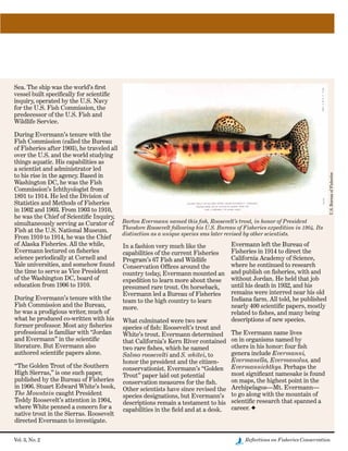 Vol. 3, No. 2	 Reflections on Fisheries Conservation
Sea. The ship was the world’s first
vessel built specifically for scientific
inquiry, operated by the U.S. Navy
for the U.S. Fish Commission, the
predecessor of the U.S. Fish and
Wildlife Service.
During Evermann’s tenure with the
Fish Commission (called the Bureau
of Fisheries after 1903), he traveled all
over the U.S. and the world studying
things aquatic. His capabilities as
a scientist and administrator led
to his rise in the agency. Based in
Washington DC, he was the Fish
Commission’s Ichthyologist from
1891 to 1914. He led the Division of
Statistics and Methods of Fisheries
in 1902 and 1903. From 1903 to 1910,
he was the Chief of Scientific Inquiry,
simultaneously serving as Curator of
Fish at the U.S. National Museum.
From 1910 to 1914, he was the Chief
of Alaska Fisheries. All the while,
Evermann lectured on fisheries
science periodically at Cornell and
Yale universities, and somehow found
the time to serve as Vice President
of the Washington DC, board of
education from 1906 to 1910.
During Evermann’s tenure with the
Fish Commission and the Bureau,
he was a prodigious writer, much of
what he produced co-written with his
former professor. Most any fisheries
professional is familiar with “Jordan
and Evermann” in the scientific
literature. But Evermann also
authored scientific papers alone.
“The Golden Trout of the Southern
High Sierras,” is one such paper,
published by the Bureau of Fisheries
in 1906. Stuart Edward White’s book,
The Mountain caught President
Teddy Roosevelt’s attention in 1904,
where White penned a concern for a
native trout in the Sierras. Roosevelt
directed Evermann to investigate.
In a fashion very much like the
capabilities of the current Fisheries
Program’s 67 Fish and Wildlife
Conservation Offices around the
country today, Evermann mounted an
expedition to learn more about these
presumed rare trout. On horseback,
Evermann led a Bureau of Fisheries
team to the high country to learn
more.
What culminated were two new
species of fish: Roosevelt’s trout and
White’s trout. Evermann determined
that California’s Kern River contained
two rare fishes, which he named
Salmo roosevelti and S. whitei, to
honor the president and the citizen-
conservationist. Evermann’s “Golden
Trout” paper laid out potential
conservation measures for the fish.
Other scientists have since revised the
species designations, but Evermann’s
descriptions remain a testament to his
capabilities in the field and at a desk.   
Evermann left the Bureau of
Fisheries in 1914 to direct the
California Academy of Science,
where he continued to research
and publish on fisheries, with and
without Jordan. He held that job
until his death in 1932, and his
remains were interred near his old
Indiana farm. All told, he published
nearly 400 scientific papers, mostly
related to fishes, and many being
descriptions of new species.
The Evermann name lives
on in organisms named by
others in his honor: four fish
genera include Evermanni,
Evermanella, Evermanolus, and
Evermannichthys. Perhaps the
most significant namesake is found
on maps, the highest point in the
Archipelagos—Mt. Evermann—
to go along with the mountain of
scientific research that spanned a
career. F
Barton Evermann named this fish, Roosevelt’s trout, in honor of President
Theodore Roosevelt following his U.S. Bureau of Fisheries expedition in 1904. Its
distinction as a unique species was later revised by other scientists.
U.S.BureauofFisheries
 