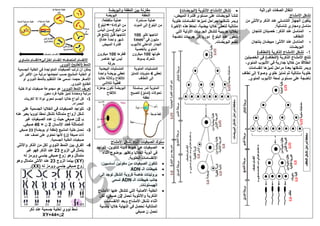 eddirasa.com-ملخصات-دروس-مادة-علوم-الطبيعة-و-الحياة-4-متوسط.pdf