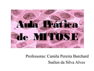 Aula Prática
de MITOSE
Professoras: Camila Pereira Burchard
Suélen da Silva Alves
 