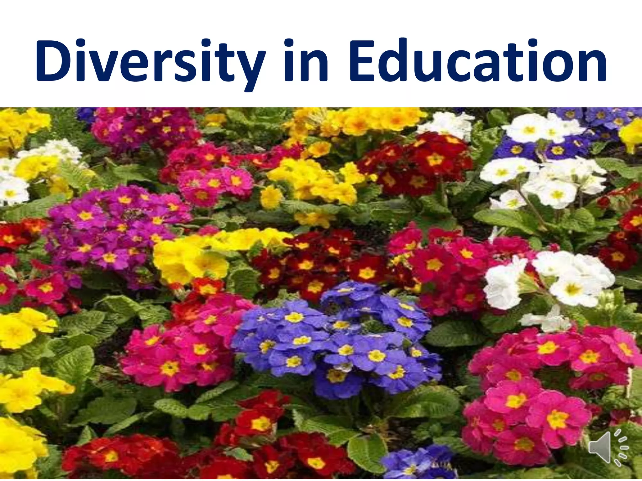 Diversity in Education
 