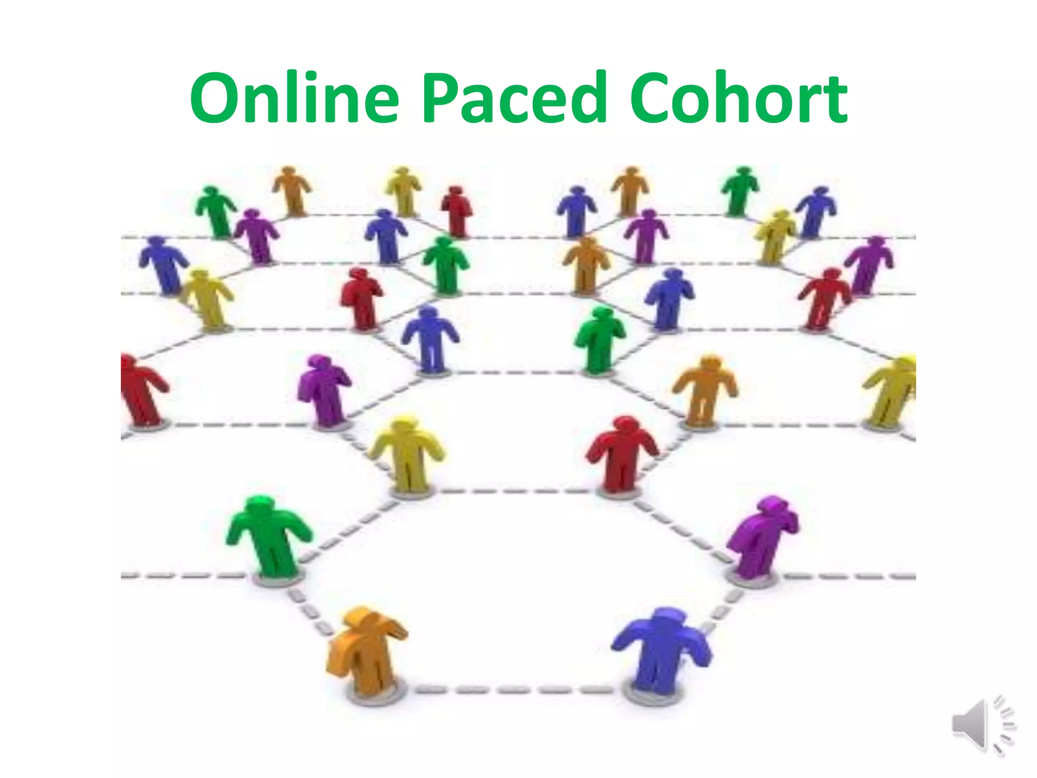 Online Paced Cohort
 