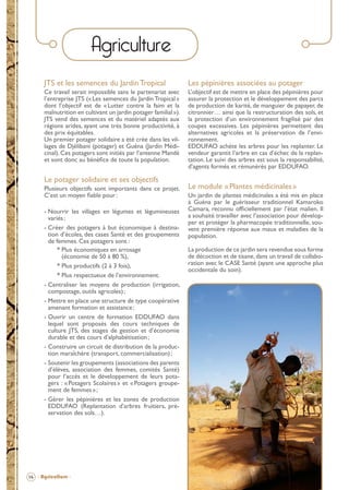 Agriculture
JTS et les semences du Jardin Tropical

Les pépinières associées au potager

Ce travail serait impossible sans le partenariat avec
l’entreprise JTS (« Les semences du Jardin Tropical »
dont l’objectif est de « Lutter contre la faim et la
malnutrition en cultivant un jardin potager familial »).
JTS vend des semences et du matériel adaptés aux
régions arides, ayant une très bonne productivité, à
des prix équitables.
Un premier potager solidaire a été crée dans les villages de Djélibani (potager) et Guéna (Jardin Médicinal). Ces potagers sont initiés par l’antenne Mandé
et sont donc au bénéﬁce de toute la population.

L’objectif est de mettre en place des pépinières pour
assurer la protection et le développement des parcs
de production de karité, de manguier de papayer, de
citronnier… ainsi que la restructuration des sols, et
la protection d’un environnement fragilisé par des
coupes excessives. Les pépinières permettent des
alternatives agricoles et la préservation de l’environnement.
EDDUFAO achète les arbres pour les replanter. Le
vendeur garantit l’arbre en cas d’échec de la replantation. Le suivi des arbres est sous la responsabilité,
d’agents formés et rémunérés par EDDUFAO.

Le potager solidaire et ses objectifs
Plusieurs objectifs sont importants dans ce projet.
C’est un moyen ﬁable pour :
- Nourrir les villages en légumes et légumineuses
variés ;
- Créer des potagers à but économique à destination d’écoles, des cases Santé et des groupements
de femmes. Ces potagers sont :
* Plus économiques en arrosage
(économie de 50 à 80 %),
* Plus productifs (2 à 3 fois),
* Plus respectueux de l’environnement.
- Centraliser les moyens de production (irrigation,
compostage, outils agricoles) ;
- Mettre en place une structure de type coopérative
amenant formation et assistance ;
- Ouvrir un centre de formation EDDUFAO dans
lequel sont proposés des cours techniques de
culture JTS, des stages de gestion et d’économie
durable et des cours d’alphabétisation ;
- Construire un circuit de distribution de la production maraîchère (transport, commercialisation) ;
- Soutenir les groupements (associations des parents
d’élèves, association des femmes, comités Santé)
pour l’accès et le développement de leurs potagers : « Potagers Scolaires » et « Potagers groupement de femmes » ;
- Gérer les pépinières et les zones de production
EDDUFAO (Replantation d’arbres fruitiers, préservation des sols…).

Le module « Plantes médicinales »
Un jardin de plantes médicinales a été mis en place
à Guéna par le guérisseur traditionnel Kamaroko
Camara, reconnu ofﬁciellement par l’état malien. Il
a souhaité travailler avec l’association pour développer et protéger la pharmacopée traditionnelle, souvent première réponse aux maux et maladies de la
population.
La production de ce jardin sera revendue sous forme
de décoction et de tisane, dans un travail de collaboration avec le CASE Santé (ayant une approche plus
occidentale du soin).

14 - Agriculture -

BROCHURE.indd 16

12/05/09 14:15

 