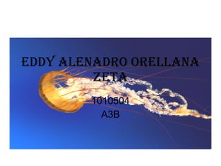 Eddy alenadro orellana zeta 1010504 A3B 