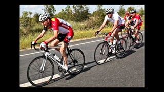 Eddy merckx granfondo 2011