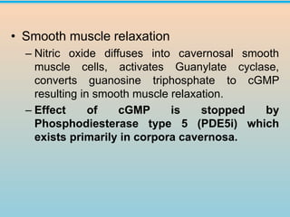 • Smooth muscle relaxation
– Nitric oxide diffuses into cavernosal smooth
muscle cells, activates Guanylate cyclase,
converts guanosine triphosphate to cGMP
resulting in smooth muscle relaxation.
– Effect of cGMP is stopped by
Phosphodiesterase type 5 (PDE5i) which
exists primarily in corpora cavernosa.
 