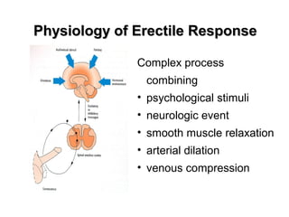 Physiology of Erectile ResponsePhysiology of Erectile Response
Complex process
combining
• psychological stimuli
• neurologic event
• smooth muscle relaxation
• arterial dilation
• venous compression
 