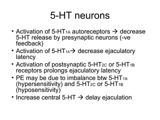 5-HT neurons
• Activation of 5-HT1A autoreceptors  decrease
5-HT release by presynaptic neurons (-ve
feedback)
• Activation of 5-HT1A decrease ejaculatory
latency
• Activation of postsynaptic 5-HT2C or 5-HT1B
receptors prolongs ejaculatory latency
• PE may be due to imbalance btw 5-HT1A
(hypersensitivity) and 5-HT2C or 5-HT1B
(hyposensitivity)
• Increase central 5-HT  delay ejaculation
 