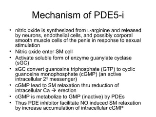 Mechanism of PDE5-i
• nitric oxide is synthesized from L-arginine and released
by neurons, endothelial cells, and possibly corporal
smooth muscle cells of the penis in response to sexual
stimulation
• Nitric oxide enter SM cell
• Activate soluble form of enzyme guanylate cyclase
(sGC)
• sGC convert guanosine triphosphate (GTP) to cyclic
guanosine monophosphate (cGMP) (an active
intracellular 2nd
messenger)
• cGMP lead to SM relaxation thru reduction of
intracellular Ca  erection
• cGMP is metabolize to GMP (inactive) by PDEs
• Thus PDE inhibitor facilitate NO induced SM relaxation
by increase accumulation of intracellular cGMP
 