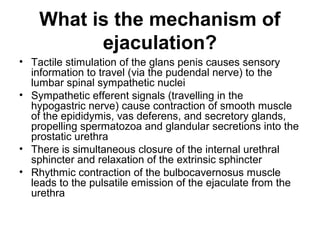What is the mechanism of
ejaculation?
• Tactile stimulation of the glans penis causes sensory
information to travel (via the pudendal nerve) to the
lumbar spinal sympathetic nuclei
• Sympathetic efferent signals (travelling in the
hypogastric nerve) cause contraction of smooth muscle
of the epididymis, vas deferens, and secretory glands,
propelling spermatozoa and glandular secretions into the
prostatic urethra
• There is simultaneous closure of the internal urethral
sphincter and relaxation of the extrinsic sphincter
• Rhythmic contraction of the bulbocavernosus muscle
leads to the pulsatile emission of the ejaculate from the
urethra
 