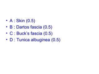 • A : Skin (0.5)
• B : Dartos fascia (0.5)
• C : Buck’s fascia (0.5)
• D : Tunica albuginea (0.5)
 