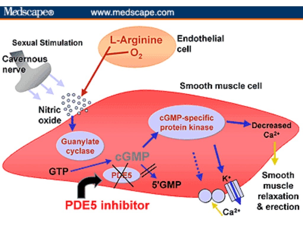 Erectile Dysfunction [Dr. Edmond Wong]