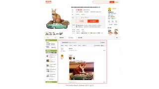 The Earned Brand | Edelman 2015 | pg 29
 