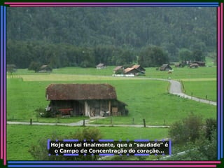 Hoje eu sei finalmente, que a “saudade” é o Campo de Concentração do coração... 