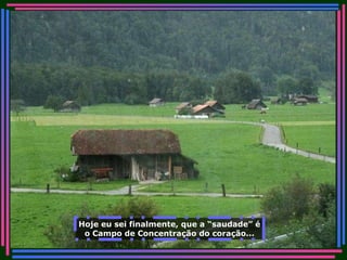 Hoje eu sei finalmente, que a “saudade” é o Campo de Concentração do coração... 