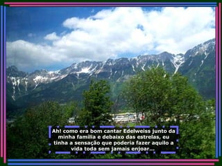 Ah! como era bom cantar Edelweiss junto da minha família e debaixo das estrelas, eu tinha a sensação que poderia fazer aquilo a vida toda sem jamais enjoar...   