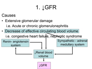 1. ↓GFR
Causes
• Extensive glomerular damage
i.e. Acute or chronic glomerulonephritis
• Decrease of effective circulating blood volume
i.e. congestive heart failure, nephrotic syndrome
↓Renal blood
volume
Renin- angiotensin
system
Sympathetic - adrenal
medullary system
↓GFR
 