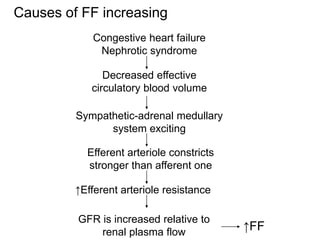 Causes of FF increasing
Congestive heart failure
Nephrotic syndrome
Decreased effective
circulatory blood volume
Sympathetic-adrenal medullary
system exciting
Efferent arteriole constricts
stronger than afferent one
↑Efferent arteriole resistance
GFR is increased relative to
renal plasma flow ↑FF
 