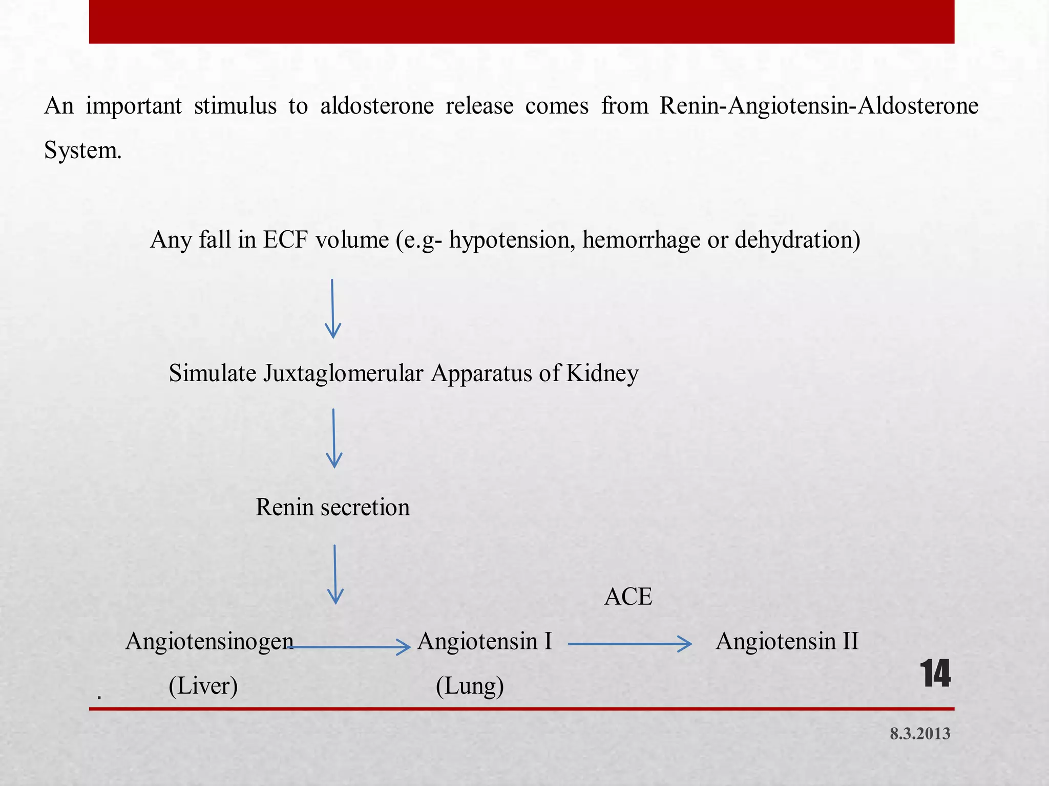 An important stimulus to aldosterone release comes from Renin-Angiotensin-Aldosterone
System.


            Any fall in ECF volume (e.g- hypotension, hemorrhage or dehydration)




             Simulate Juxtaglomerular Apparatus of Kidney




                       Renin secretion


                                                         ACE
          Angiotensinogen                Angiotensin I            Angiotensin II
    .        (Liver)                      (Lung)                                      14
                                                                                   8.3.2013
 