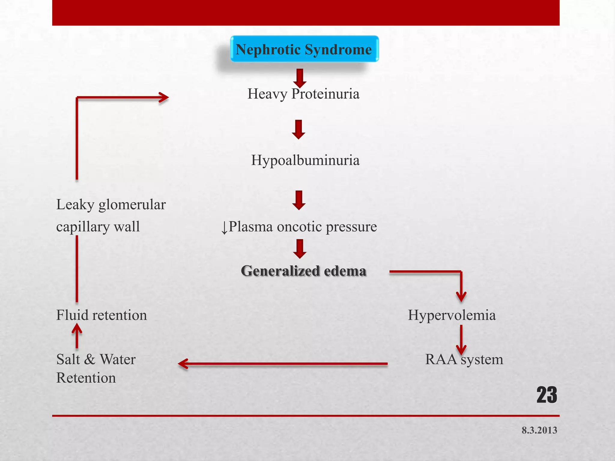 Nephrotic Syndrome

                       Heavy Proteinuria



                       Hypoalbuminuria

Leaky glomerular
capillary wall     ↓Plasma oncotic pressure

                      Generalized edema

Fluid retention                               Hypervolemia

Salt & Water                                    RAA system
Retention
                                                                23
                                                             8.3.2013
 