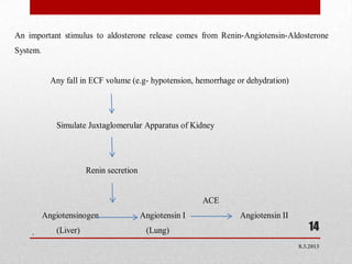 An important stimulus to aldosterone release comes from Renin-Angiotensin-Aldosterone
System.


            Any fall in ECF volume (e.g- hypotension, hemorrhage or dehydration)




             Simulate Juxtaglomerular Apparatus of Kidney




                       Renin secretion


                                                         ACE
          Angiotensinogen                Angiotensin I            Angiotensin II
    .        (Liver)                      (Lung)                                      14
                                                                                   8.3.2013
 