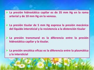  La presión hidrostática capilar es de 35 mm Hg en la rama
arterial y de 10 mm Hg en la venosa.
 La presión tisular de 5 mm Hg expresa la presión mecánica
del líquido intersticial y la resistencia a la distención tisular
 La presión transmural es la diferencia entre la presión
hidrostática capilar y la tisular.
 La presión oncótica eficaz es la diferencia entre la plasmática
y la intersticial

 