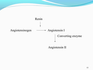 15
Renin
Angiotensinogen Angiotensin I
Converting enzyme
Angiotensin II
 