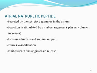 17
-Secreted by the secretory granules in the atrium
-Secretion is stimulated by atrial enlargement ( plasma volume
increases)
-Increases diuresis and sodium output.
-Causes vasodilatation
-Inhibits renin and angiotensin release
 