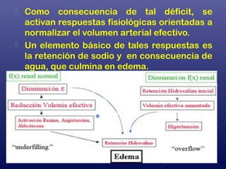  Como consecuencia de tal déficit, se
activan respuestas fisiológicas orientadas a
normalizar el volumen arterial efectivo.
 Un elemento básico de tales respuestas es
la retención de sodio y en consecuencia de
agua, que culmina en edema.
 