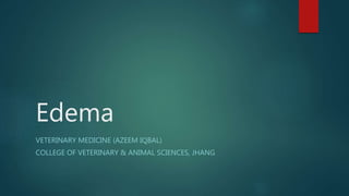 Edema
VETERINARY MEDICINE (AZEEM IQBAL)
COLLEGE OF VETERINARY & ANIMAL SCIENCES, JHANG
 