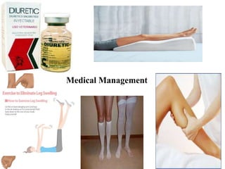 Medical Management
 