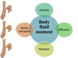 Body
fluid
moment
osmosis
diffusion
filtration
Active
transport
 